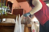 gerontodomacica-Sanela-Bozo-u-svakodnevnim-poslovima-pomoci-u-kuci-